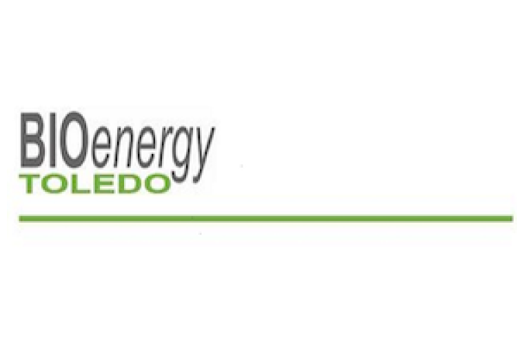 BIOENERGY TOLEDO 2013 SL