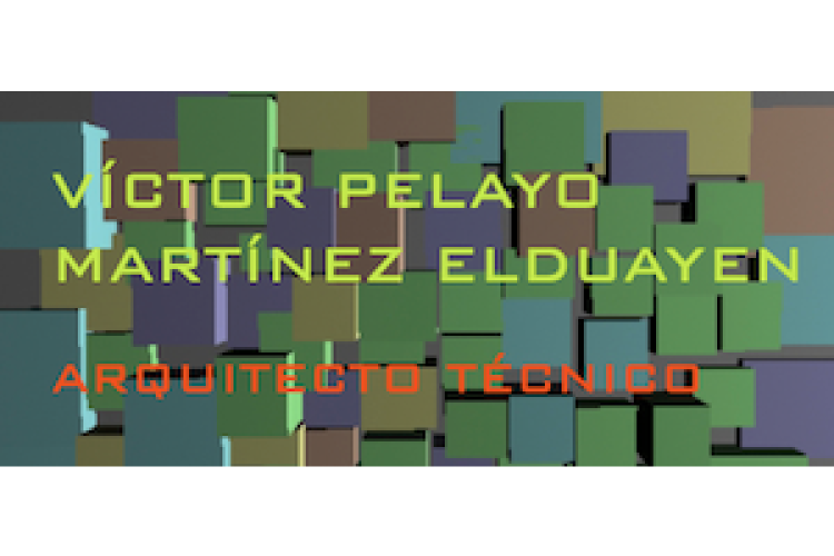 Víctor Pelayo Martínez Elduayen