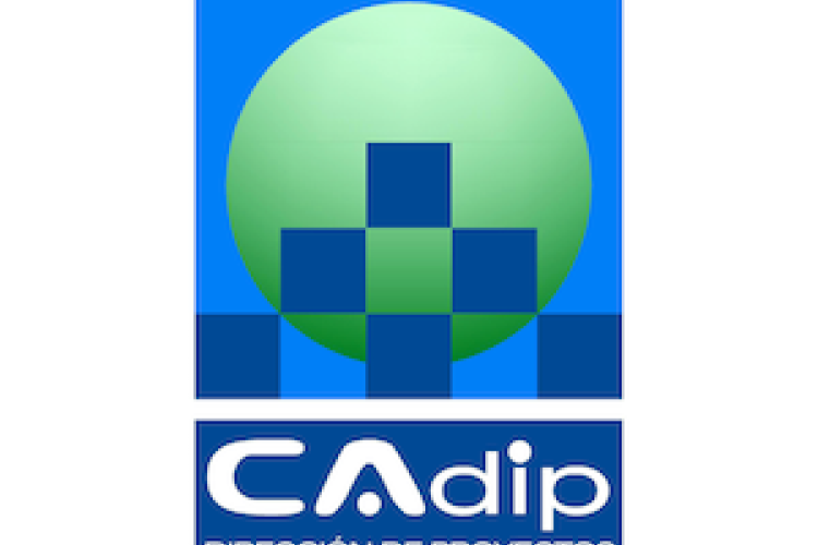 Javier Carrera - CAdip Dirección de Proyectos