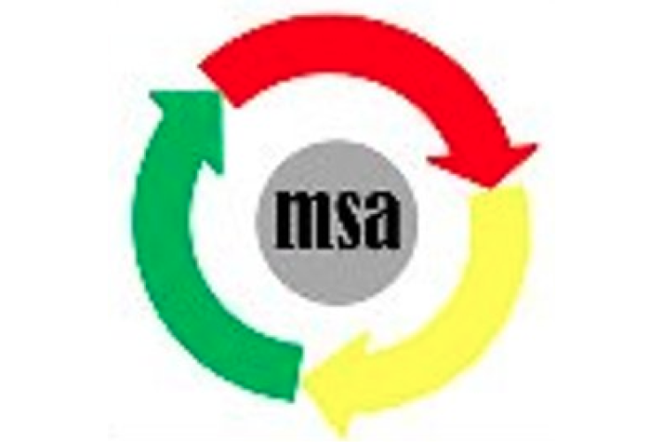 msa Marta Salvador