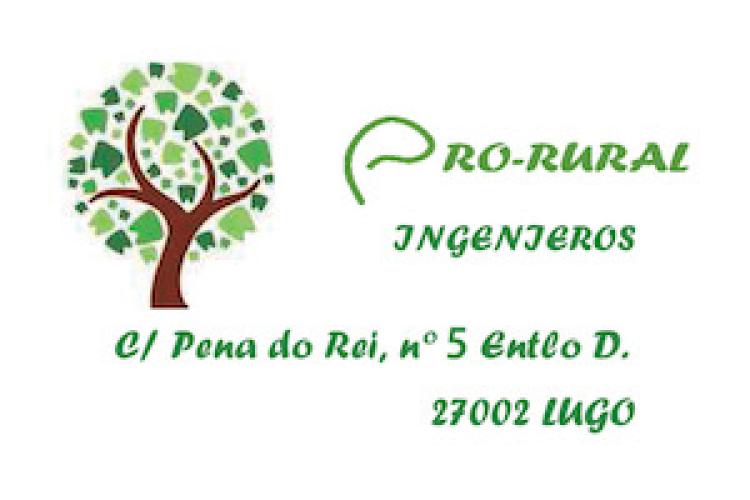 PRORURAL INGENIEROS
