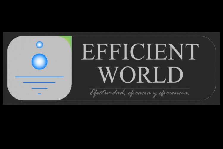 efficient world JUAN CARLOS GALISTEO GAMERO 