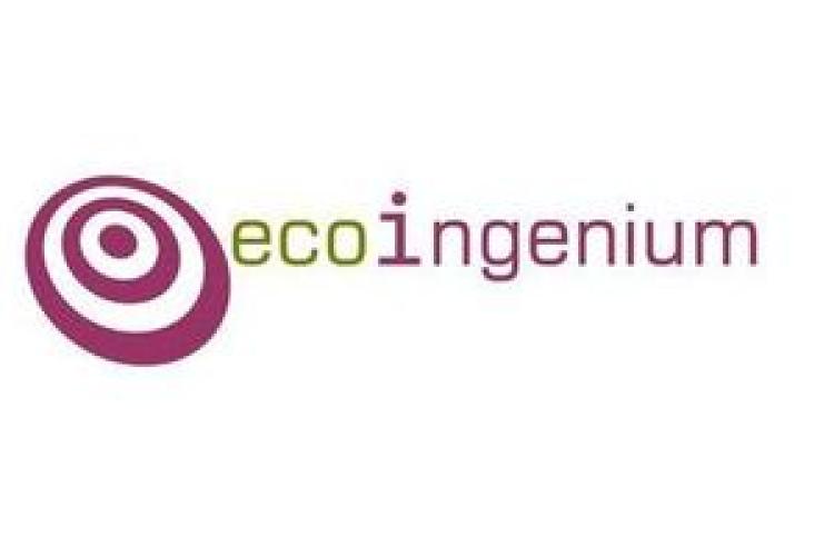  ECOINGENIUM SL