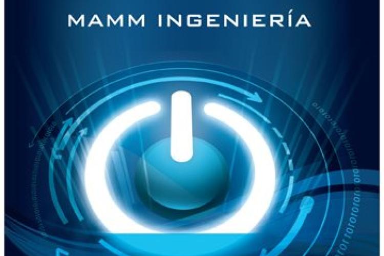 mamm ingeniería